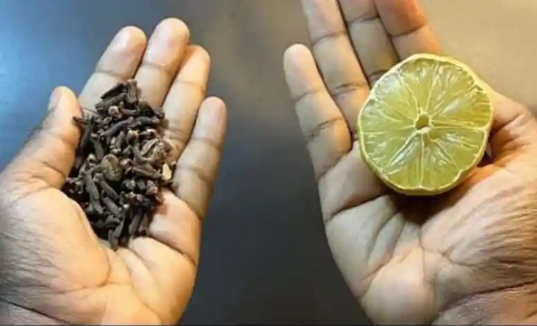 Citron et Clous de girofle