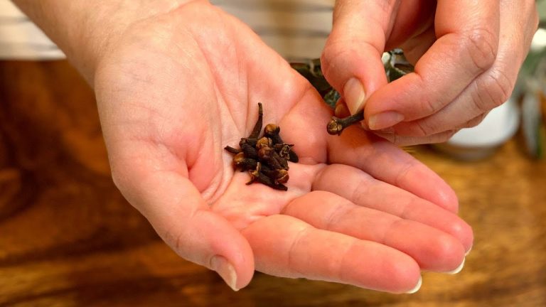 clou de girofle pour une meilleure clarté d'esprit