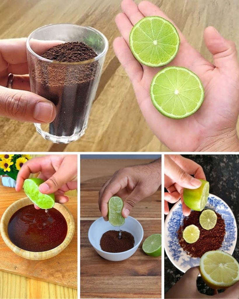 Café et citron réfrigérateur 