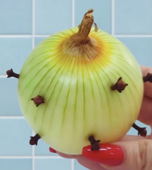 clou de girofle dans un oignon