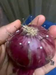 21 Clous dans un Oignon