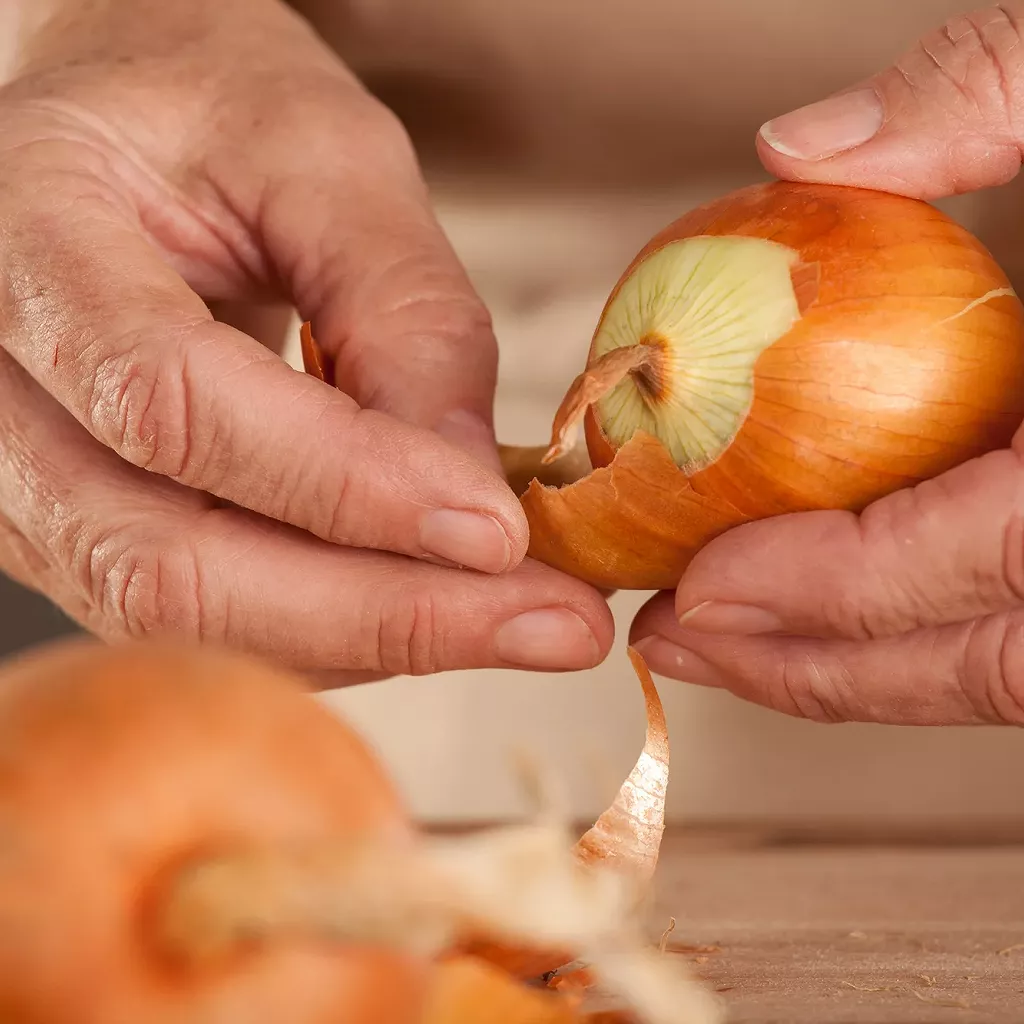oignon pour créer une armure magique
