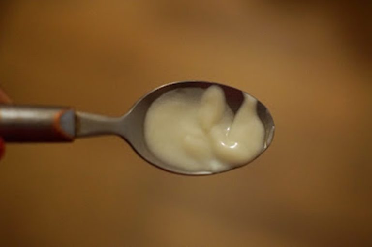 Lait capillaire maison