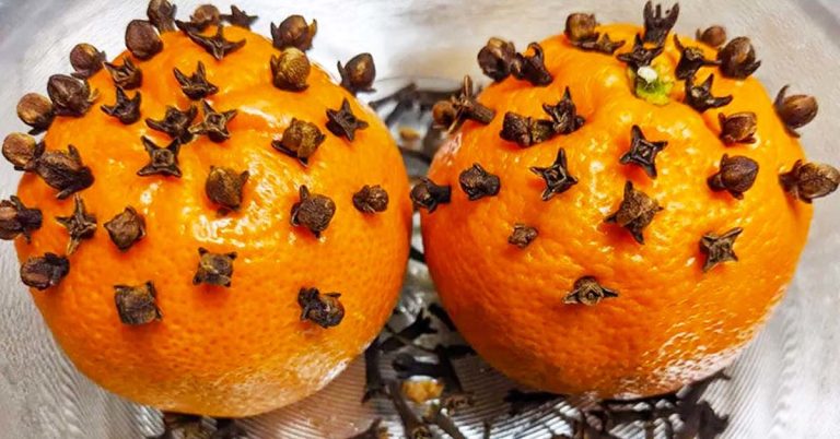 Orange et Clous de Girofle
